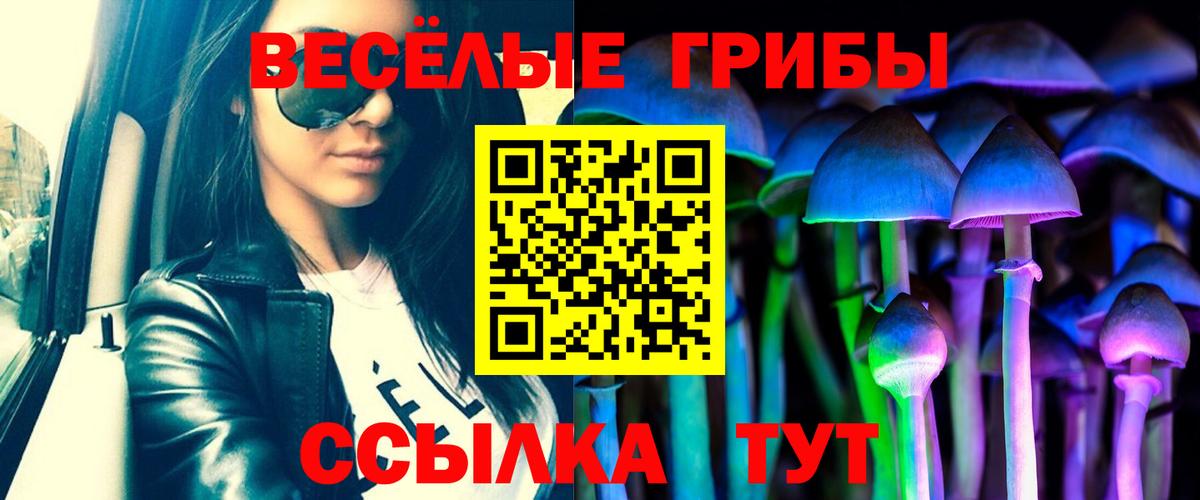 Йошкар-Ола  Псилоцибиновые грибы Cubensis  Вход с VPN 